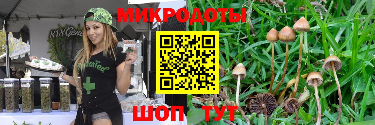 Псилоцибиновые грибы MAGIC MUSHROOMS  Вход с VPN  Кандалакша  магазин продажи наркотиков  Псилоцибиновые грибы Psilocybe 
