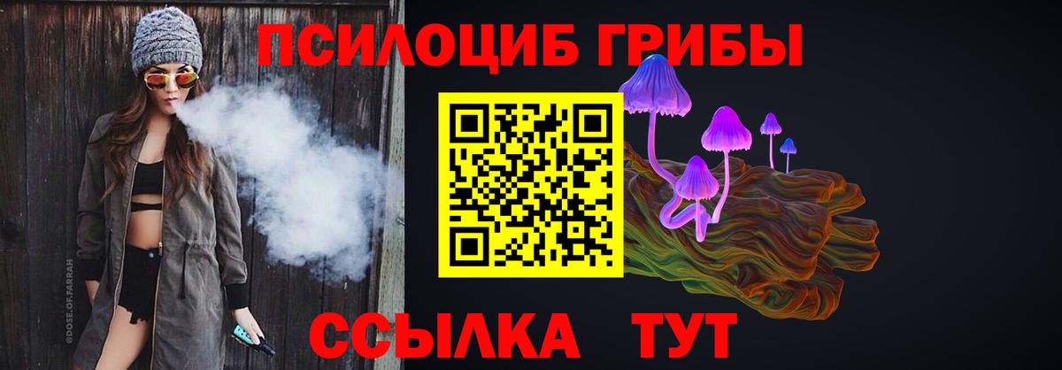 Галлюциногенные грибы мухоморы Кандалакша